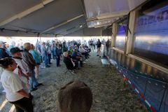 IMG_9275_1024